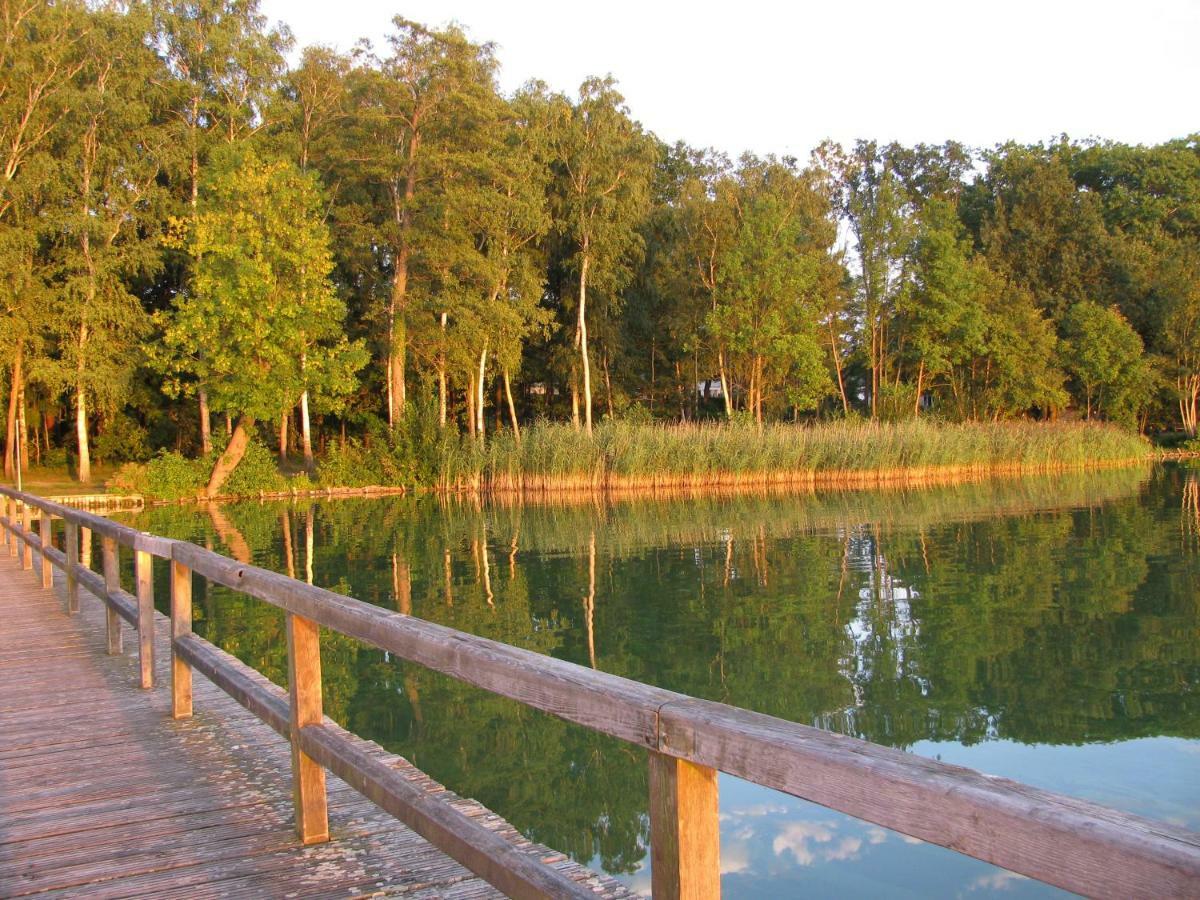 Seeblick III Bad Saarow Dış mekan fotoğraf